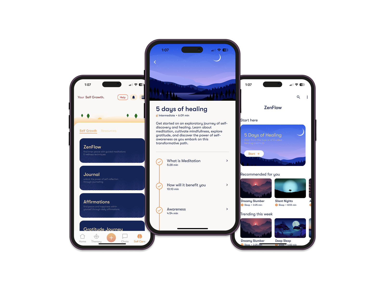 Self-care categories, a guided meditation course, and the ZenFlow content library.